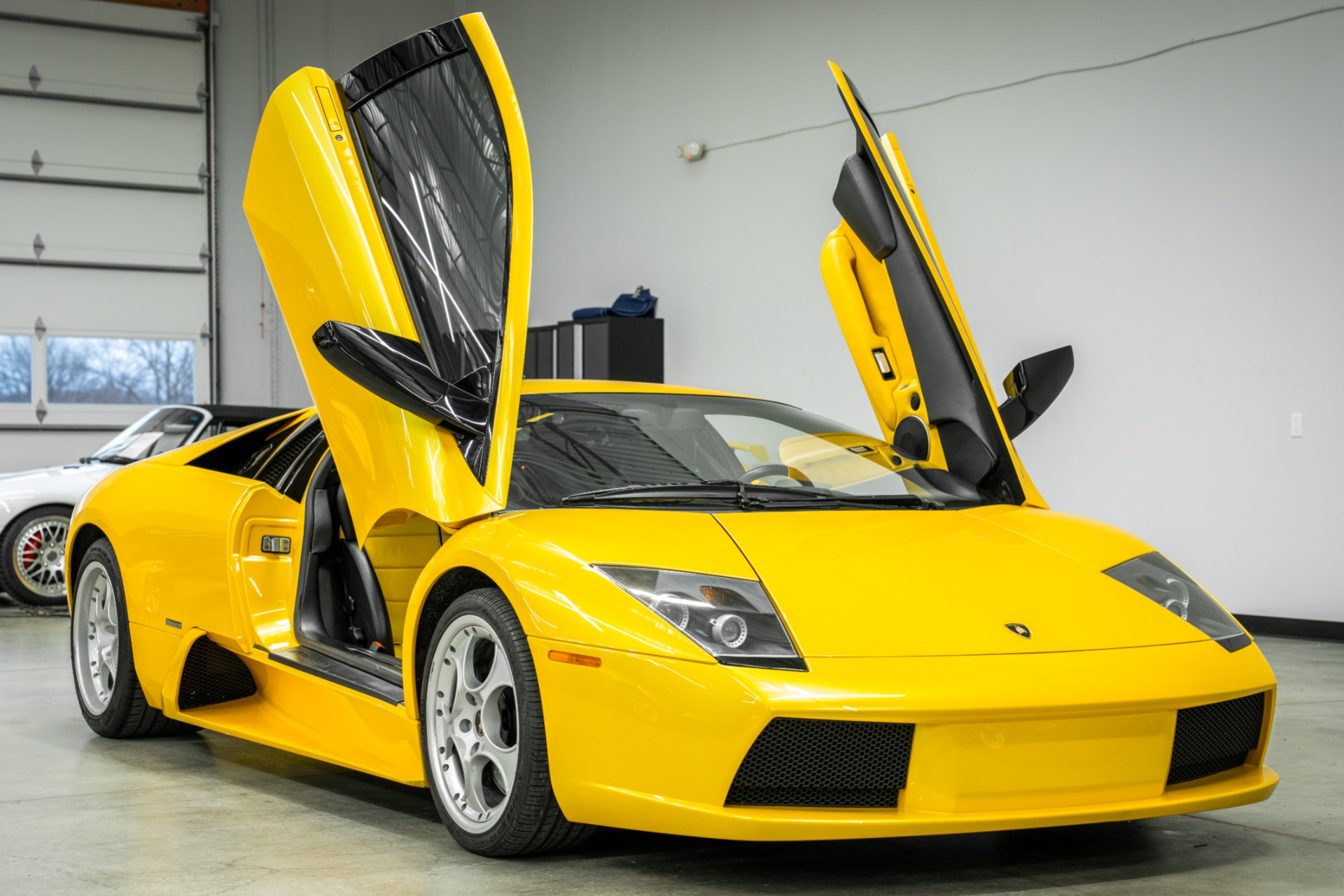 Giallo Orion 2003 Lamborghini Murcielago 6 Speed Manual For Sale